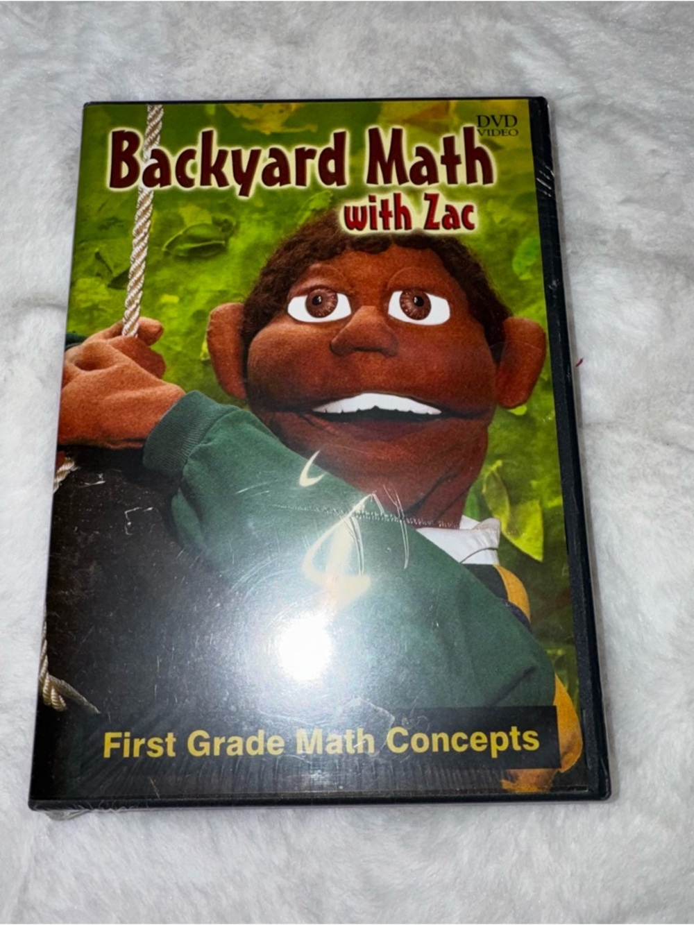 NEW backyard math with zac DVD